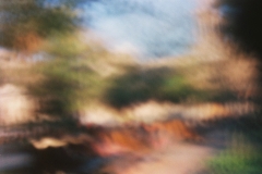 Naturaleza en movimiento